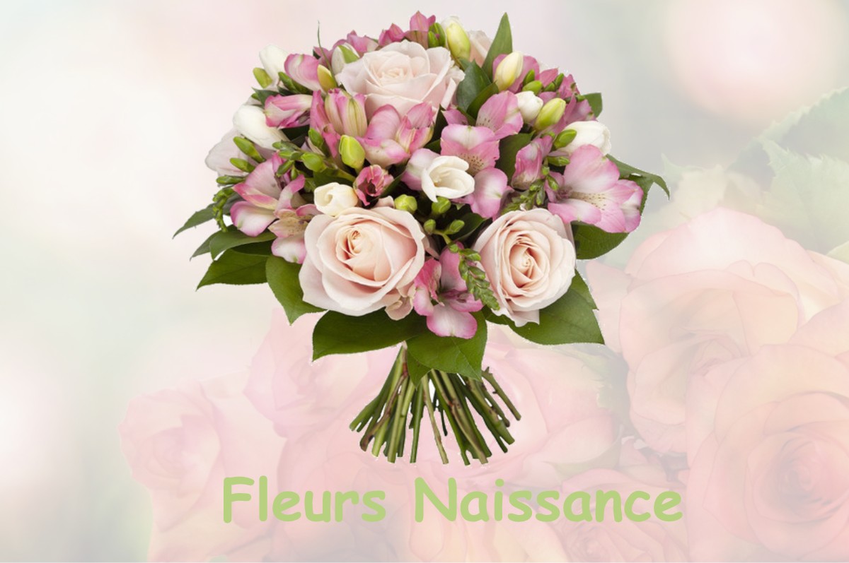 fleurs naissance BARRAUX