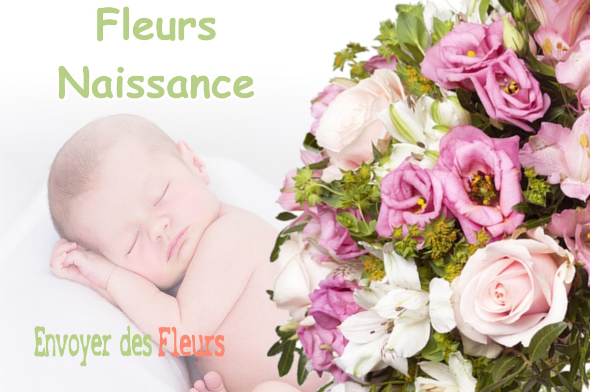 lIVRAISON FLEURS NAISSANCE à BARRAUX